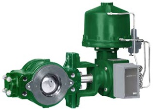 Fisher V250 Segment Ball Valve