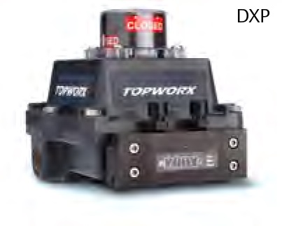 Emerson/Topworx DXP series Limit Switch