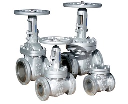 SLB/Cameron Gate/Globe/Check Valve