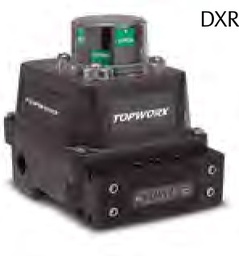 Emerson/Topworx DXR series Limit Switch